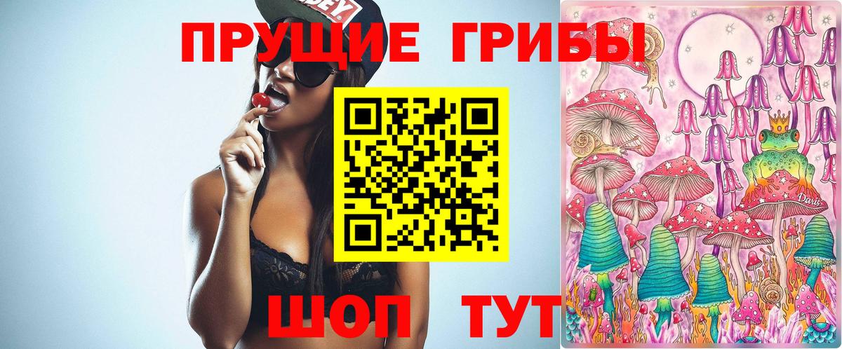 Псилоцибиновые грибы GOLDEN TEACHER Ишим